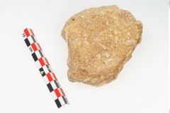 Foto von Stein (NHMW-PRAE-003434e)